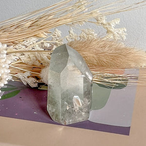 Brazilian Lodolite Point 03
