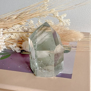 Brazilian Lodolite Point 01